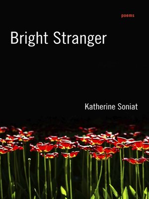 cover image of Bright Stranger